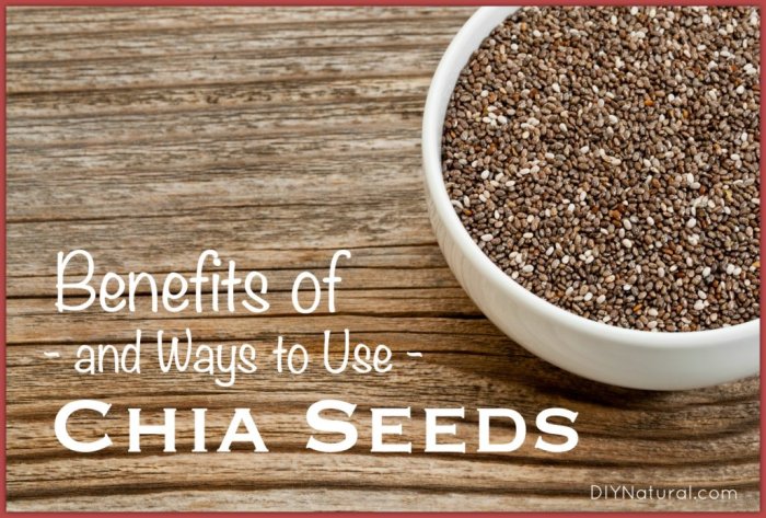Do Chia Seeds Have Collagen?