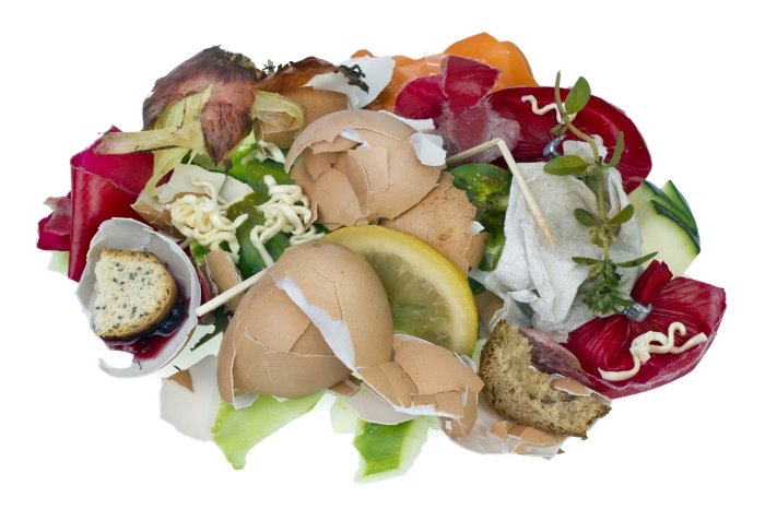 Food scraps compost bin uses gold black what Scrap of food crossword clue
