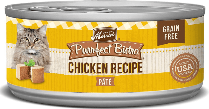 Grain free cat food for senior cats