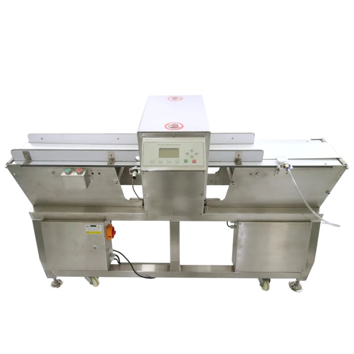 Metal detector for food processing
