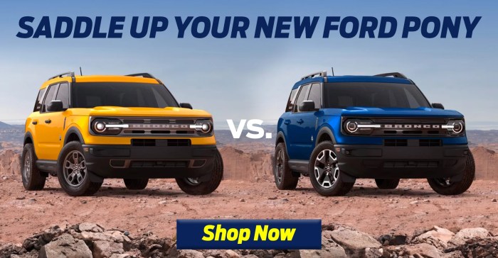 Big Bend vs Outer Banks vs Badlands  A Wild Showdown