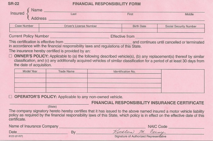 Village auto insurance georgia claims