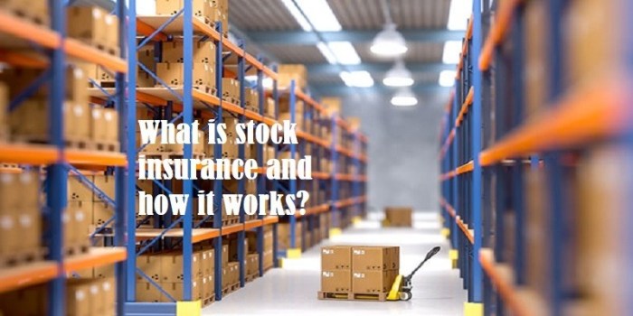Understanding Stock Insurers A Deep Dive
