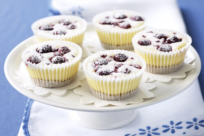 Cheesecake mascarpone No-bake mascarpone dessert recipes