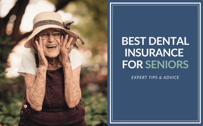Dental Insurance for Seniors Kansas Your Guide