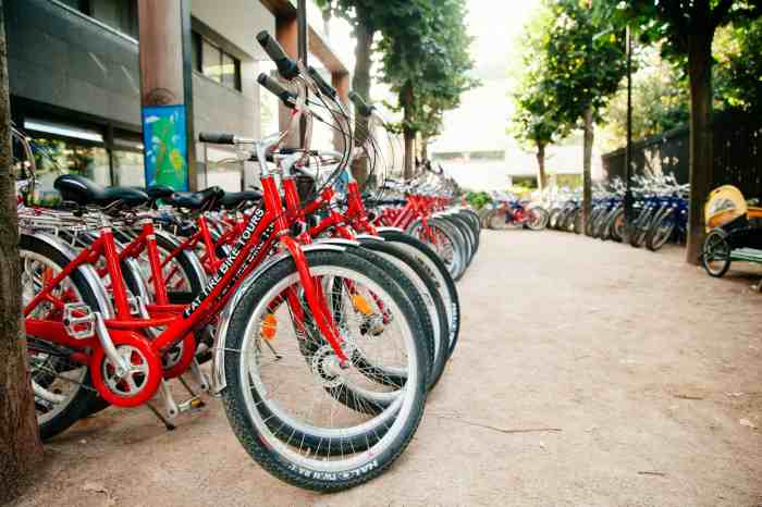 Fat tire bike tours berlin