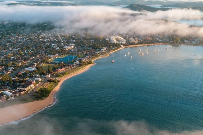 Dog friendly beaches central coast