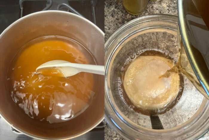 Recipe for Kombucha Tea with Green Tea A Brewed Delight
