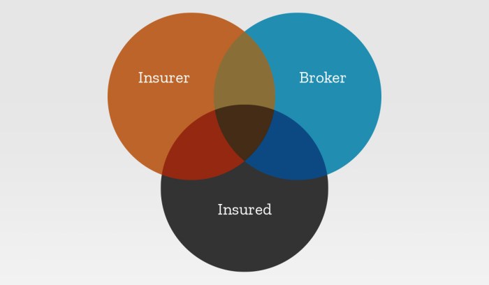 Understanding Stock Insurers A Deep Dive Understanding Stock Insurers A Deep Dive